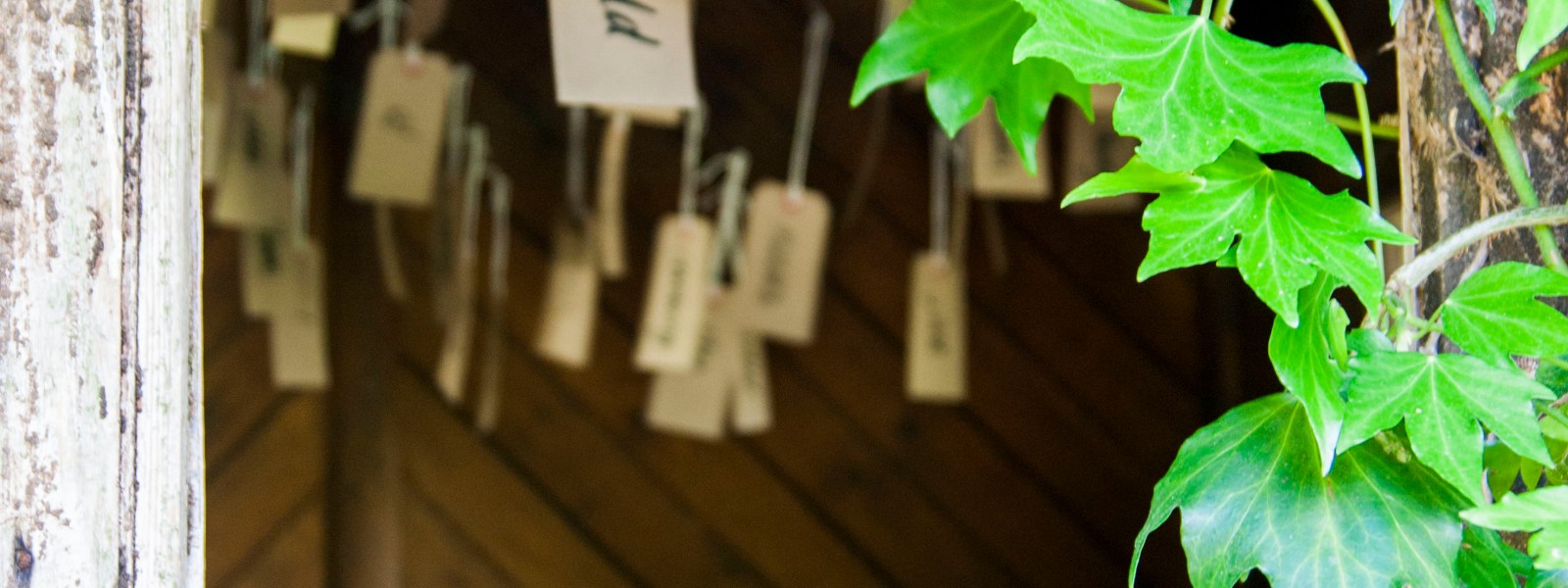 Beneath The Boughs poetry installation: created by Katie Hale at Lowther Castle & Gardens, Cumbria. Funded by Arts Council England.