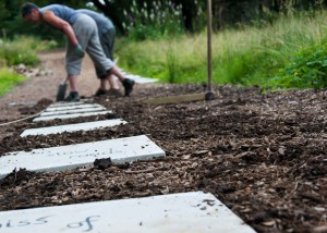 Beneath The Boughs poetry installation: created by Katie Hale at Lowther Castle & Gardens, Cumbria. Funded by Arts Council England.