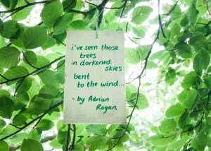 Beneath The Boughs poetry installation: created by Katie Hale at Lowther Castle & Gardens, Cumbria. Funded by Arts Council England.