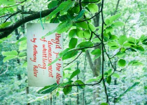 Beneath The Boughs poetry installation: created by Katie Hale at Lowther Castle & Gardens, Cumbria. Funded by Arts Council England.