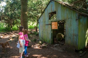 Beneath The Boughs poetry installation: created by Katie Hale at Lowther Castle & Gardens, Cumbria. Funded by Arts Council England.