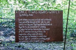 Beneath The Boughs poetry installation: created by Katie Hale at Lowther Castle & Gardens, Cumbria. Funded by Arts Council England.
