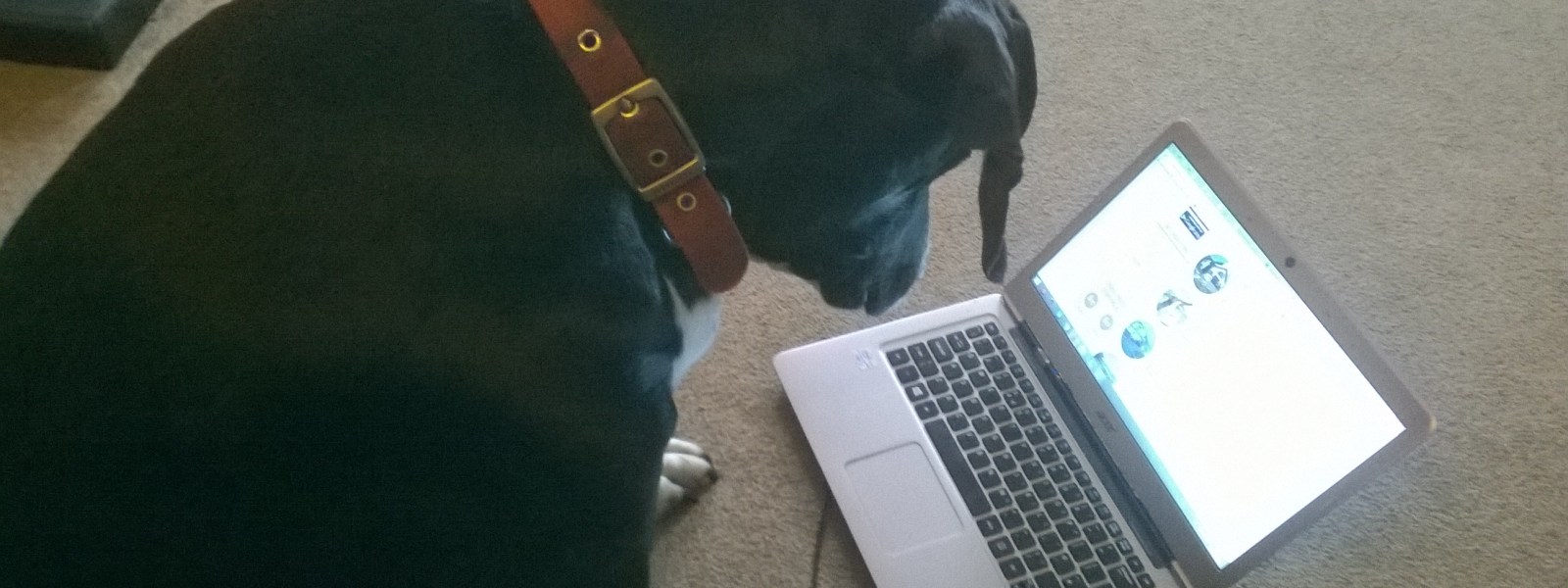 Social media addiction - Katie Hale, Cumbrian poet, writer and artist