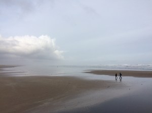 St Andrews: West Sands