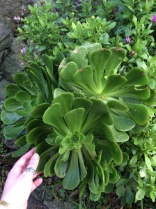 St Ives writing retreat