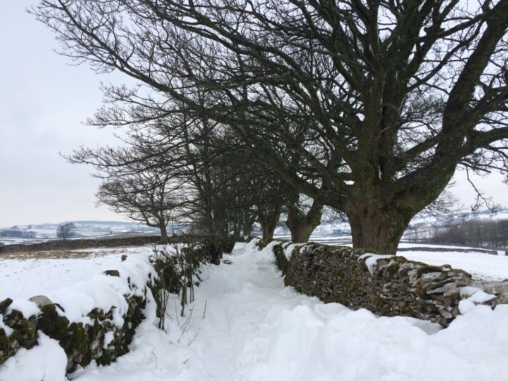 Snow in Cumbria - lonning