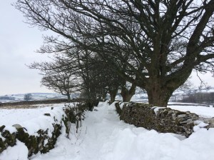 Snow in Cumbria - lonning