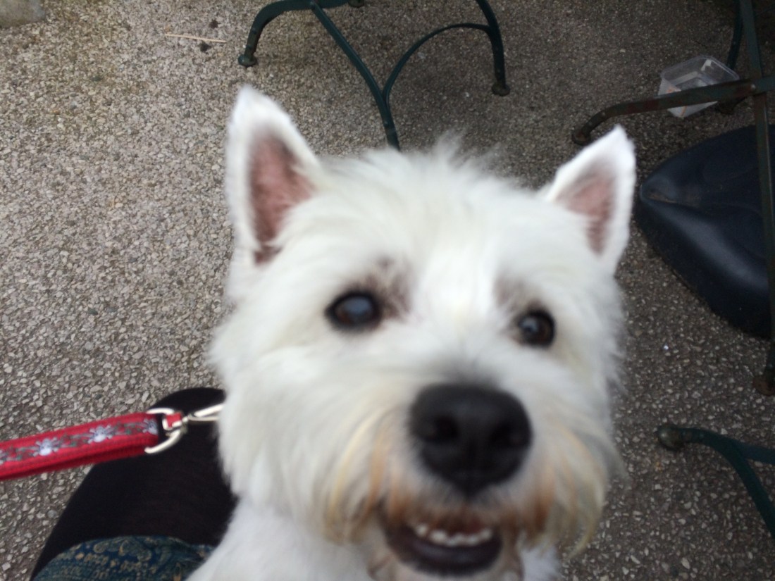 Kendal Poetry Festival 2018