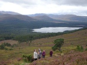 Cairngorms