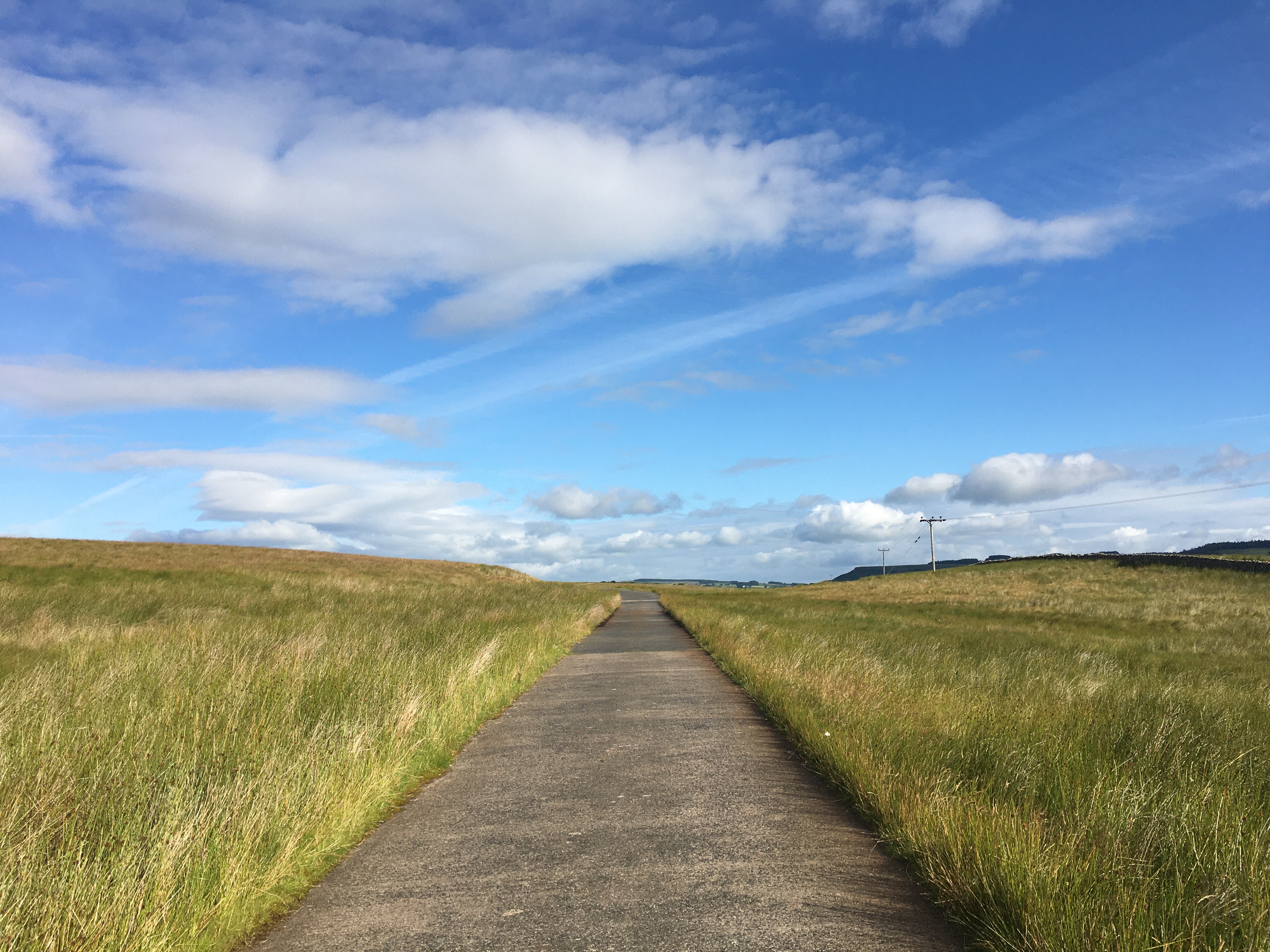 straight road leading away over the horizon - long grass on either side and a blue sky overhead