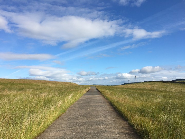 straight road leading away over the horizon - long grass on either side and a blue sky overhead