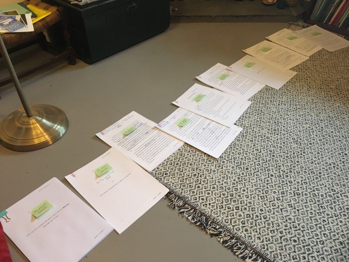 Bits of a manuscript laid out on a rug