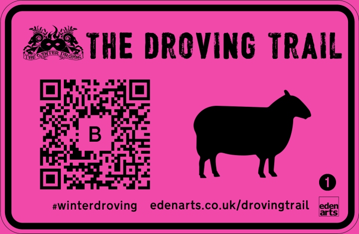 Image of a bright pink street sign with the words 'The Droving Trail' at the top, and underneath it a QR code with the letter B inside, and a silhouette of a sheep beside it. In the bottom corner of the sign, the number 1.